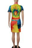 Colour Street Print Patchwork Zipper Collar Straight Dresses