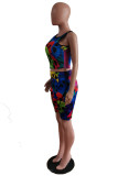 Multicolor Fashion Casual Print Basic O Neck Sleeveless Two Pieces