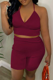 White Sexy Casual Solid Backless Spaghetti Strap Sleeveless Two Pieces