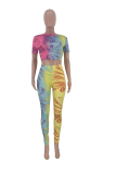 Yellow Sexy Print Patchwork O Neck Short Sleeve Two Pieces