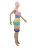 Multicolor Fashion Sexy Print Backless Strapless Sleeveless Dress