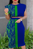 Blue Sexy Print Patchwork O Neck Sleeveless Two Pieces