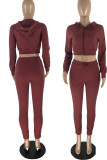 Blue Casual Solid Patchwork Zipper Hooded Collar Long Sleeve Two Pieces