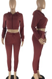 Blue Casual Solid Patchwork Zipper Hooded Collar Long Sleeve Two Pieces