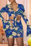Light Blue Sexy Print Split Joint V Neck Long Sleeve Two Pieces
