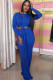 Blue Casual Solid Two Piece Suits Loose Long Sleeve Two-piece Pants Set