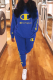 Royal Blue Casual Print Patchwork Hooded Collar Long Sleeve Two Pieces