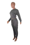 Grey Casual Solid Split Joint O Neck Long Sleeve Two Pieces
