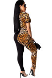 Black Sexy Patchwork Leopard grain Short Sleeve O Neck Jumpsuits