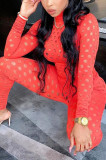 Red Fashion Sexy Solid Hollowed Out See-through Turtleneck Long Sleeve Two Pieces