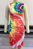 Colour Daily Print Patchwork O Neck A Line Dresses