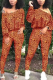 Tangerine Red Casual Leopard Patchwork Bateau Neck Long Sleeve Two Pieces