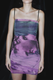 Pink Sexy Print Patchwork Spaghetti Strap Pencil Skirt Dresses