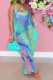 Cyan Sexy Print Patchwork Spaghetti Strap Straight Dresses