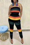 Black Casual Striped Patchwork Strapless Skinny Jumpsuits