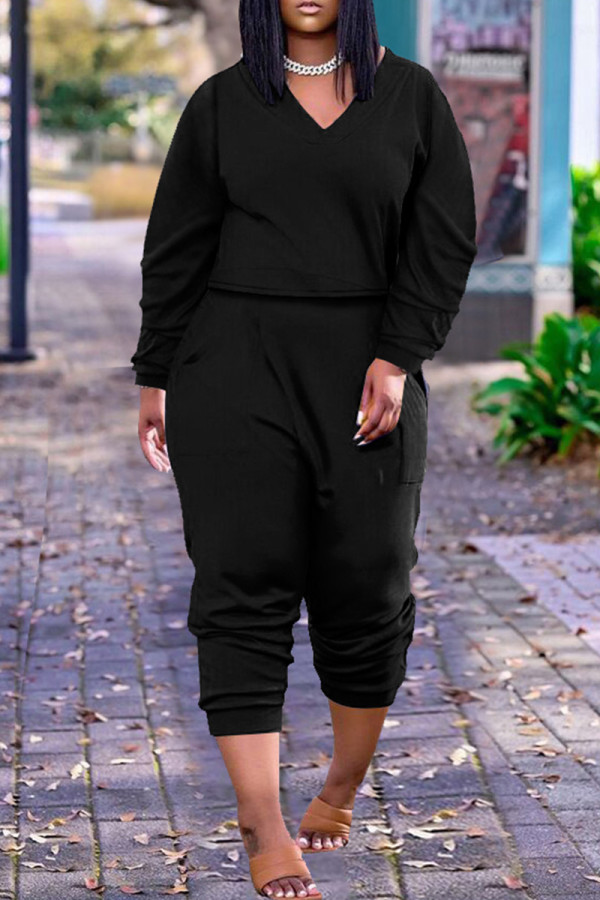 Black Fashion Casual Solid Basic V Neck Long Sleeve Two Pieces