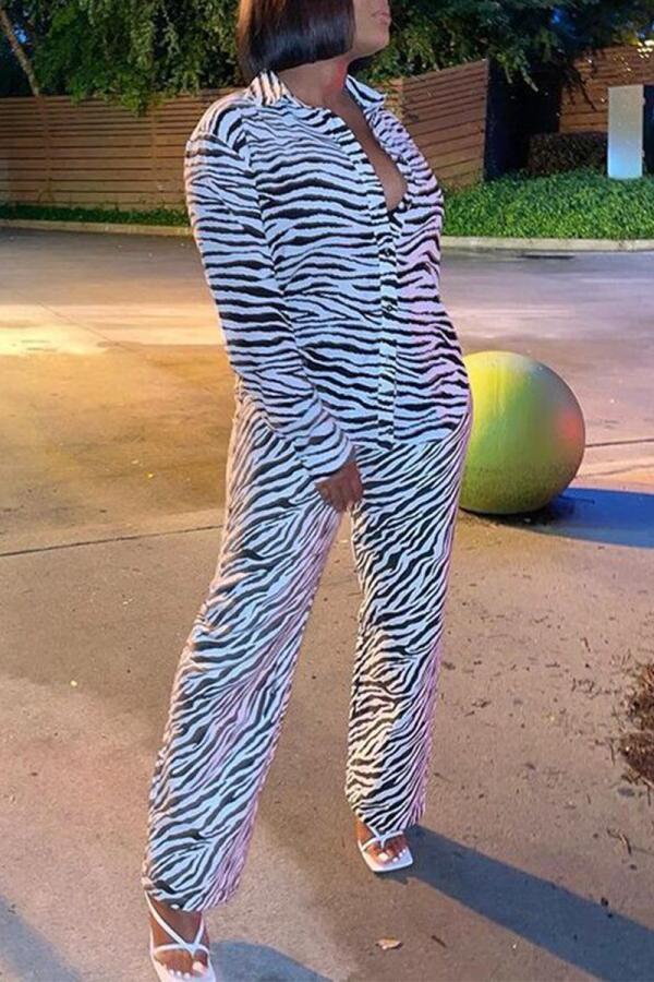 White Casual Animal Print Patchwork Turndown Collar Long Sleeve Two Pieces