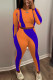 Orange Casual Sportswear Print Patchwork O Neck Long Sleeve Two Pieces