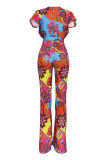 Multicolor Fashion Casual Print Basic V Neck Regular Jumpsuits