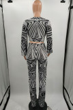 Grey Fashion Casual Print Basic V Neck Long Sleeve Two Pieces
