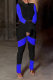Blue Casual Solid Patchwork Half A Turtleneck Long Sleeve Two Pieces