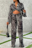 Grey Fashion Casual Print Basic V Neck Long Sleeve Two Pieces