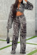Grey Fashion Casual Print Basic V Neck Long Sleeve Two Pieces