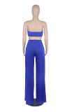 Blue Sexy Solid Hollowed Out Strapless Sleeveless Two Pieces