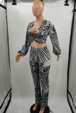Grey Fashion Casual Print Basic V Neck Long Sleeve Two Pieces