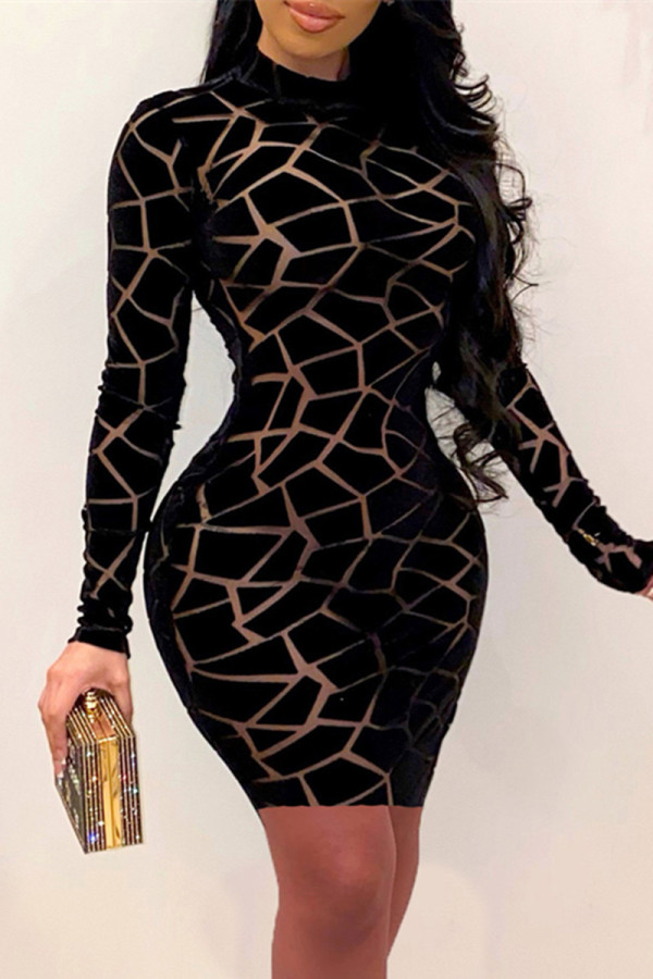 Black Fashion Sexy Print See-through O Neck Long Sleeve Dresses
