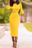 Yellow Casual lantern sleeve Long Sleeves O neck Slim Dress Knee-Length Others Dresses (Without Belt)