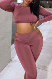Brownness Casual Solid Hollowed Out O Neck Long Sleeve Two Pieces