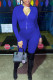 Blue Casual Solid Patchwork Zipper Collar Long Sleeve Two Pieces