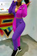 Purple Fashion Casual Patchwork Embroidered Zipper Collar Long Sleeve Two Pieces