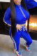 Blue Casual Solid Patchwork Hooded Collar Long Sleeve Two Pieces