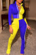 Blue Casual Solid Patchwork Zipper Zipper Collar Long Sleeve Two Pieces
