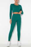 Fuchsia Casual Sportswear Solid Basic O Neck Long Sleeve Two Pieces