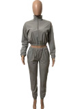 Grey Fashion Casual Solid Basic Turtleneck Long Sleeve Two Pieces