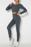 Fuchsia Casual Sportswear Solid Basic O Neck Long Sleeve Two Pieces