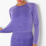 Purple Casual Sportswear Striped Basic Long Sleeve Top Yoga Clothes