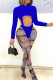 Peacock Blue Sexy Print Hollowed Out Patchwork O Neck Long Sleeve Two Pieces