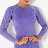 Purple Casual Sportswear Striped Basic Long Sleeve Top Yoga Clothes