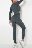 Fuchsia Casual Sportswear Solid Basic O Neck Long Sleeve Two Pieces