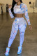 Light Gray Fashion Casual Print Basic O Neck Long Sleeve Two Pieces