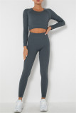 Fuchsia Casual Sportswear Solid Basic O Neck Long Sleeve Two Pieces