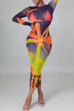 Multicolor Fashion Sexy Print See-through O Neck Long Sleeve Dresses