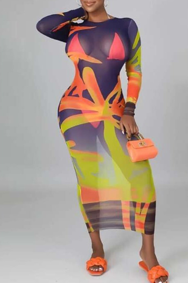 Multicolor Fashion Sexy Print See-through O Neck Long Sleeve Dresses