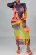 Multicolor Fashion Sexy Print See-through O Neck Long Sleeve Dresses