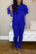 Blue Casual Solid Patchwork See-through Mesh O Neck Long Sleeve Two Pieces