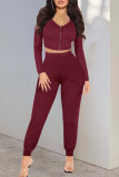 Colorful Blue Casual Solid Patchwork Zipper V Neck Long Sleeve Two Pieces